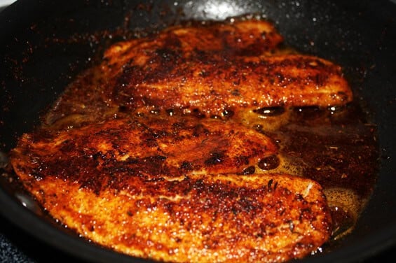 blackened-tilapia-cooking blackened-tilapia-cooking