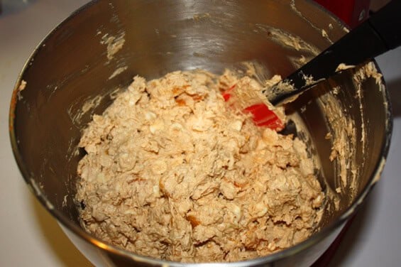 oatmeal-apricot-wc-dough1 oatmeal-apricot-wc-dough1