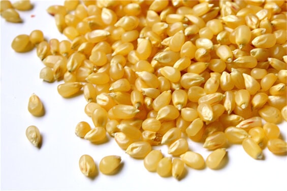 popcorn-kernels popcorn-kernels