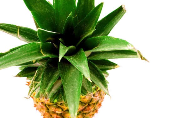 Pineapple Orange Banana Smoothie | gimmesomeoven.com