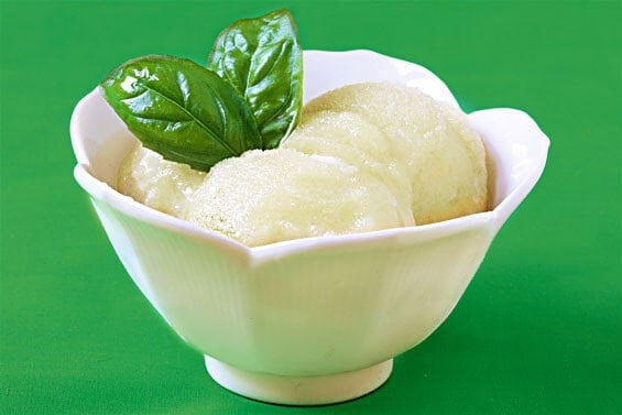 basil lime sorbet