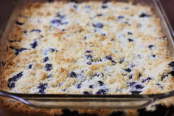 Blueberry Crumb Bars | gimmesomeoven.com