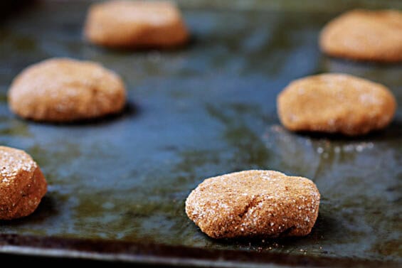 Appledoodles (Apple Snickerdoodles) | gimmesomeoven.com