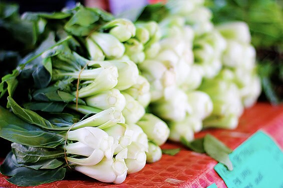 bok choy sized