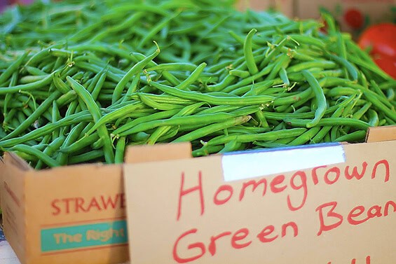 green beans sized