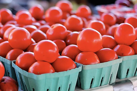 tomatoes sized