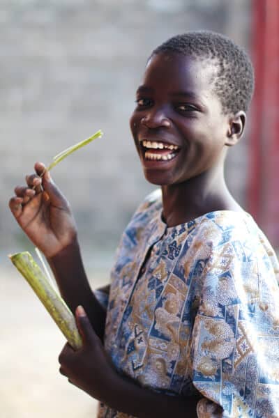 sugar cane