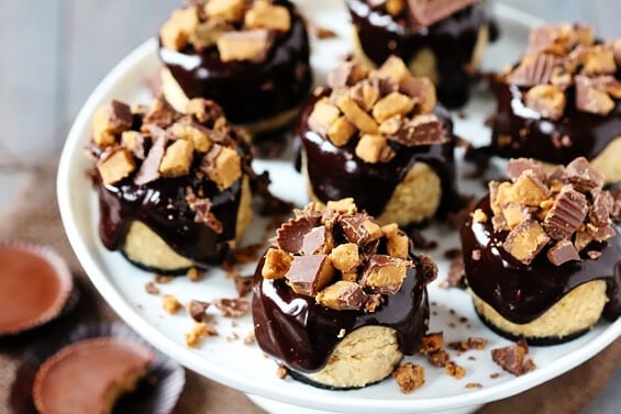 Reese's Peanut Butter Chocolate Mini Cheesecakes {Gimme Some Oven}