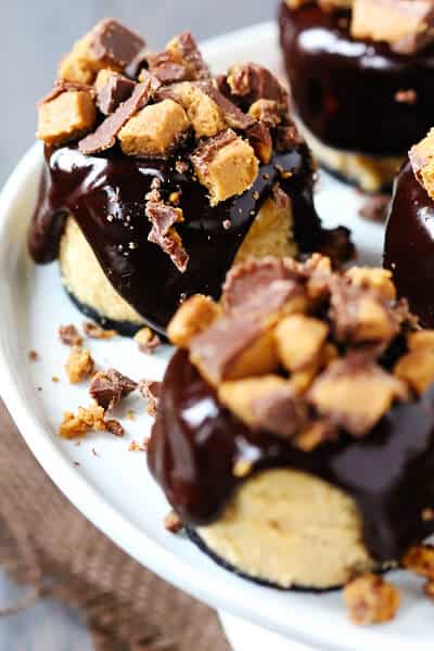 Reese's Peanut Butter Chocolate Mini Cheesecakes {Gimme Some Oven}