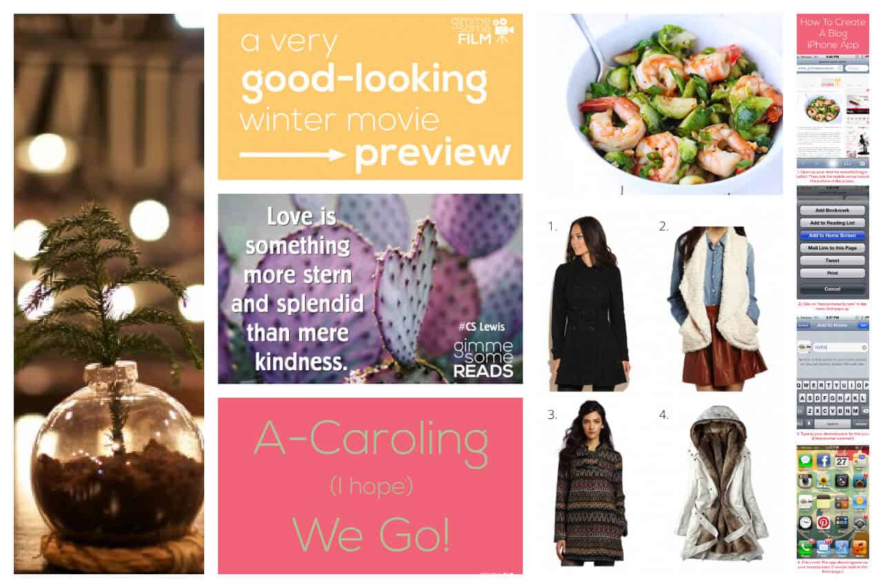 Gimme Some Weekend Roundup {12.2.12}
