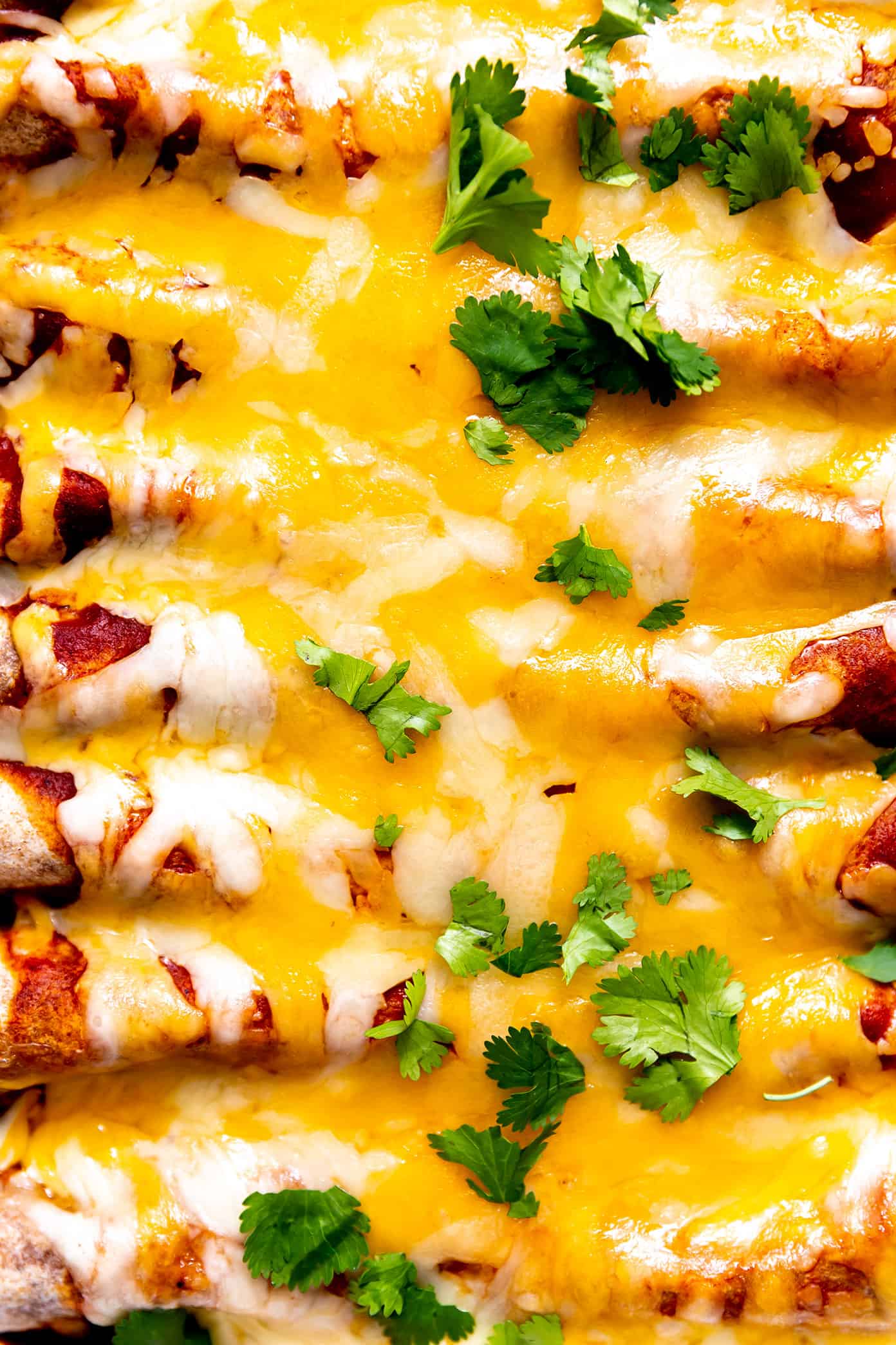 This Tex-Mex-inspired roasted vegetable enchiladas recipe is easy to customize with your choice of veggies, beans, cheese. Always a delicious vegetarian dinner recipe! | gimmesomeoven.com Vegetarian Enchiladas Closeup