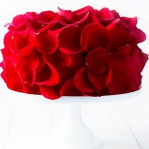 Rose Cake Recipe - made with fresh (edible!) roses | gimmesomeoven.com