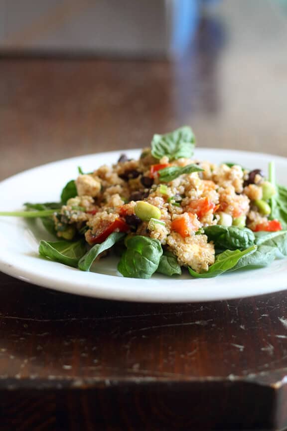 Black Bean & Quinoa Salad with Basil Lemon Dressing | thriftyveggiemama.com