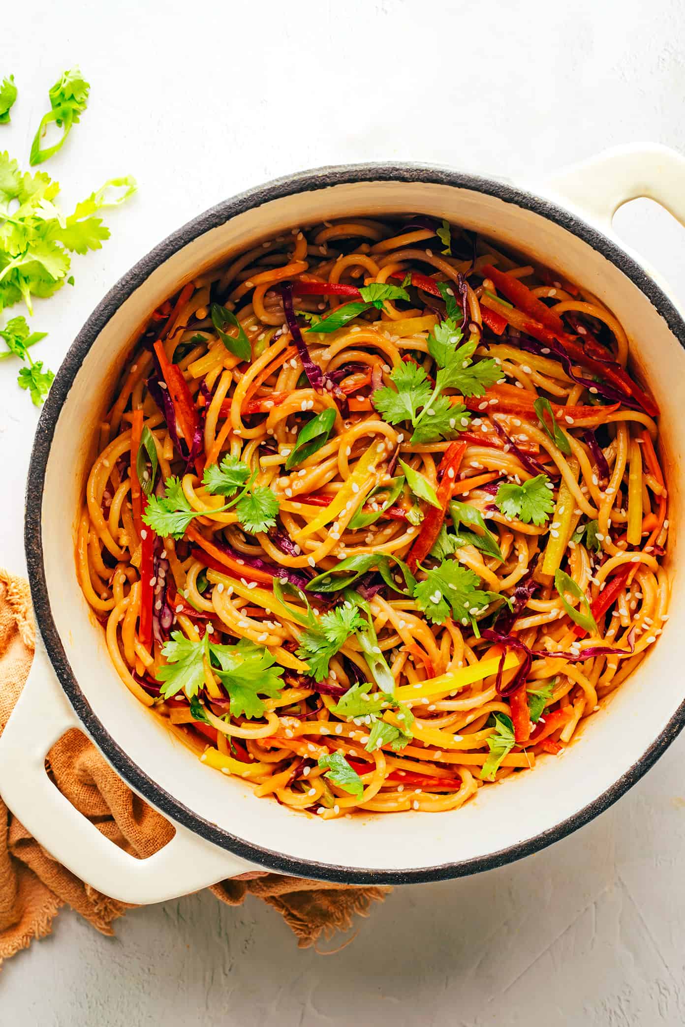 This rainbow peanut noodles recipe is made with colorful fresh veggies, your choice of noodles, and the most irresistible sesame-lime peanut sauce. Feel free to add in a protein (chicken, shrimp, beef, tofu, etc), serve warm or cold, and use whatever colorful vegetables you have on hand. Perfect for easy meal prep too! | gimmesomeoven.com Rainbow Peanut Noodles with Cilantro