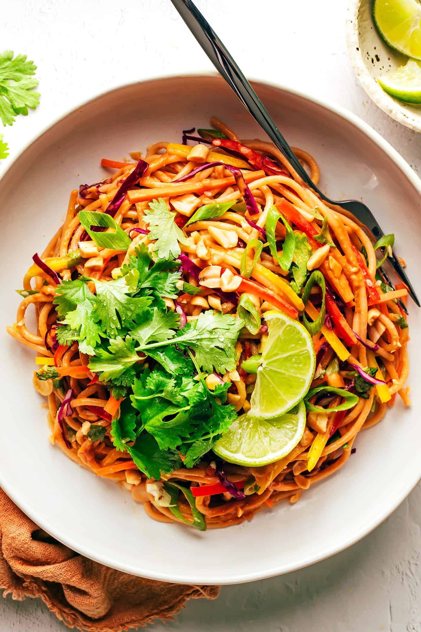 This rainbow peanut noodles recipe is made with colorful fresh veggies, your choice of noodles, and the most irresistible sesame-lime peanut sauce. Feel free to add in a protein (chicken, shrimp, beef, tofu, etc), serve warm or cold, and use whatever colorful vegetables you have on hand. Perfect for easy meal prep too! | gimmesomeoven.com Bowl of rainbow peanut noodles with lime, cilantro and peanuts