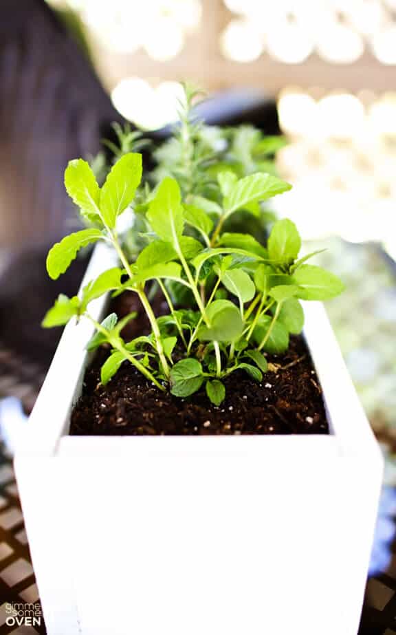 DIY Herb Planter -- easy to make with just a few simple materials! | gimmesomeoven.com/style #diy #garden DIY Herb Planter -- easy to make with just a few simple materials! | gimmesomeoven.com/style #diy #garden