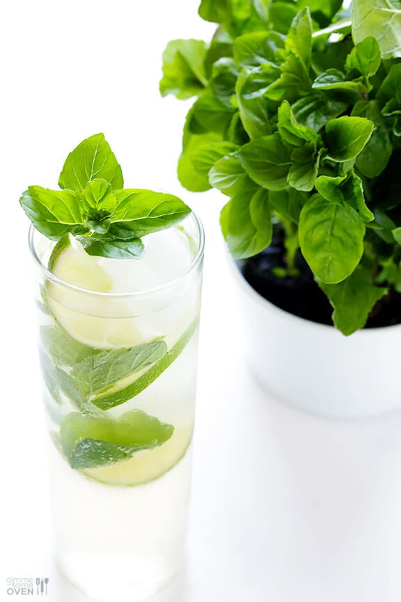 Ginger Beer Mojito -- All you need are 4 ingredients and 1 minute to make this fresh and tasty drink! | gimmesomeoven.com #cocktail #mocktail #recipe Ginger Beer Mojito -- All you need are 4 ingredients and 1 minute to make this fresh and tasty drink! | gimmesomeoven.com #cocktail #mocktail #recipe