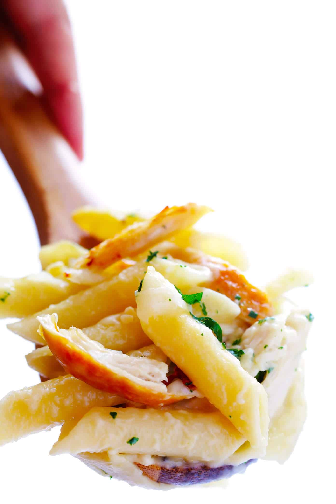LOVE this Chicken Alfredo Baked Ziti recipe! It's made with a lightened-up creamy alfredo sauce, mozzarella and Parmesan cheese, your choice of pasta, plus any extra veggies you'd like to add. An easy Italian dinner recipe that everyone will love! | Gimme Some Oven #bakedziti #chicken #alfredo #italian #dinner #pasta #recipe Chicken Alfredo Baked Ziti | Gimme Some Oven
