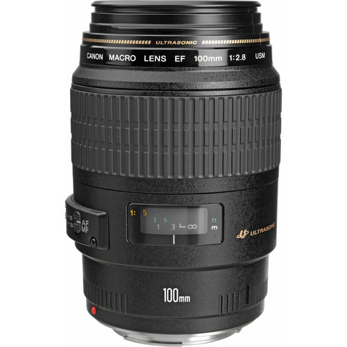 My Camera Lenses | gimmesomeoven.com #photography #canon My Camera Lenses | gimmesomeoven.com #photography #canon