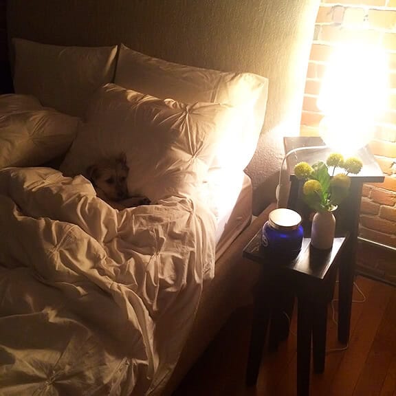 Henry in Bed
