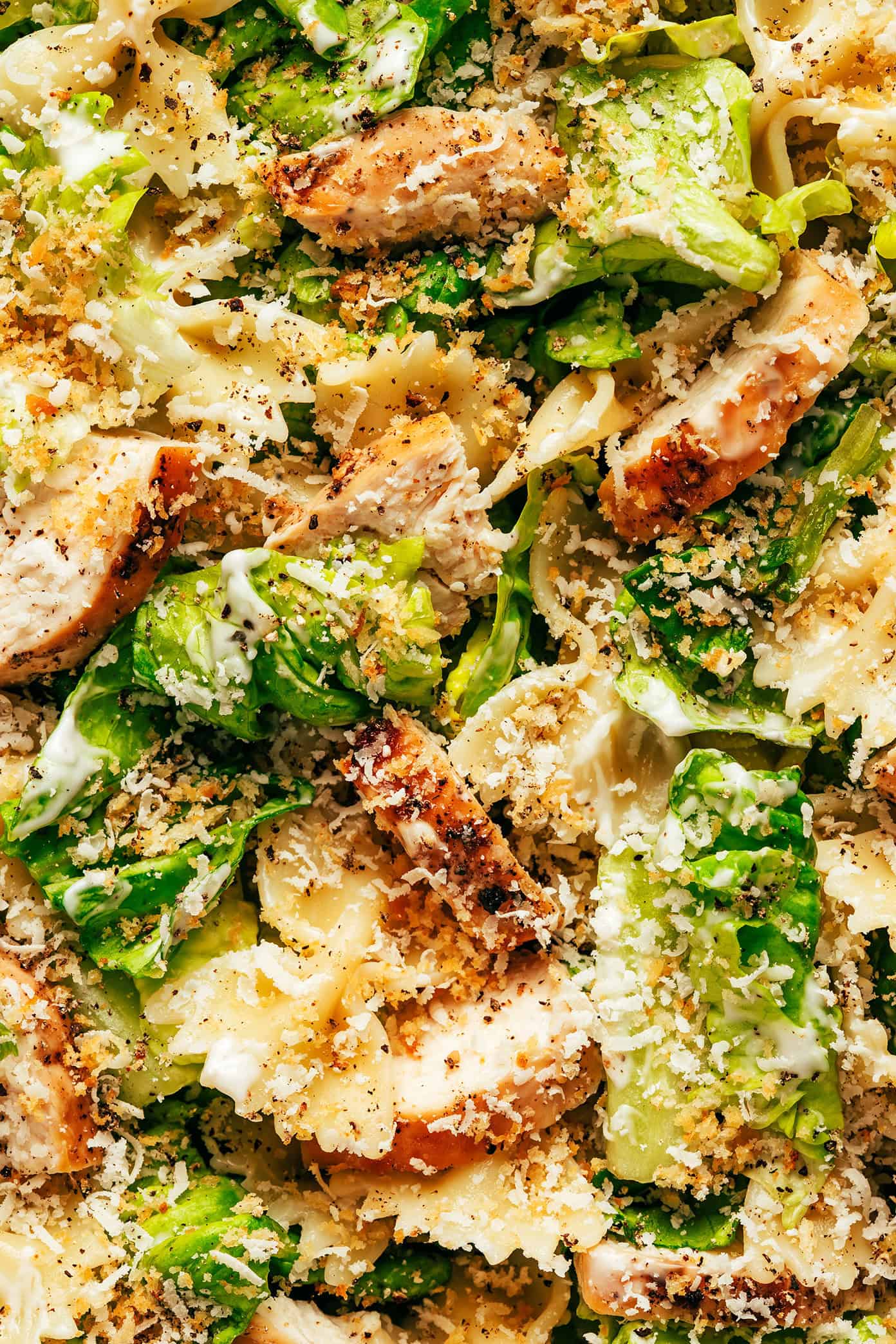 This Chicken Caesar Pasta Salad recipe is tossed with my favorite Caesar dressing, lots of Parmesan cheese, and the yummiest garlicky breadcrumbs. Feel free to use a different protein (such as salmon, shrimp, Italian sausage, bacon or roasted chickpeas) for the chicken if you prefer! | gimmesomeoven.com Chicken caesar pasta salad closeup