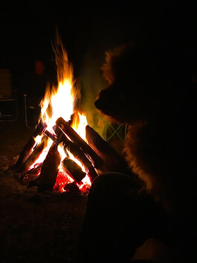 Henry by the Fire
