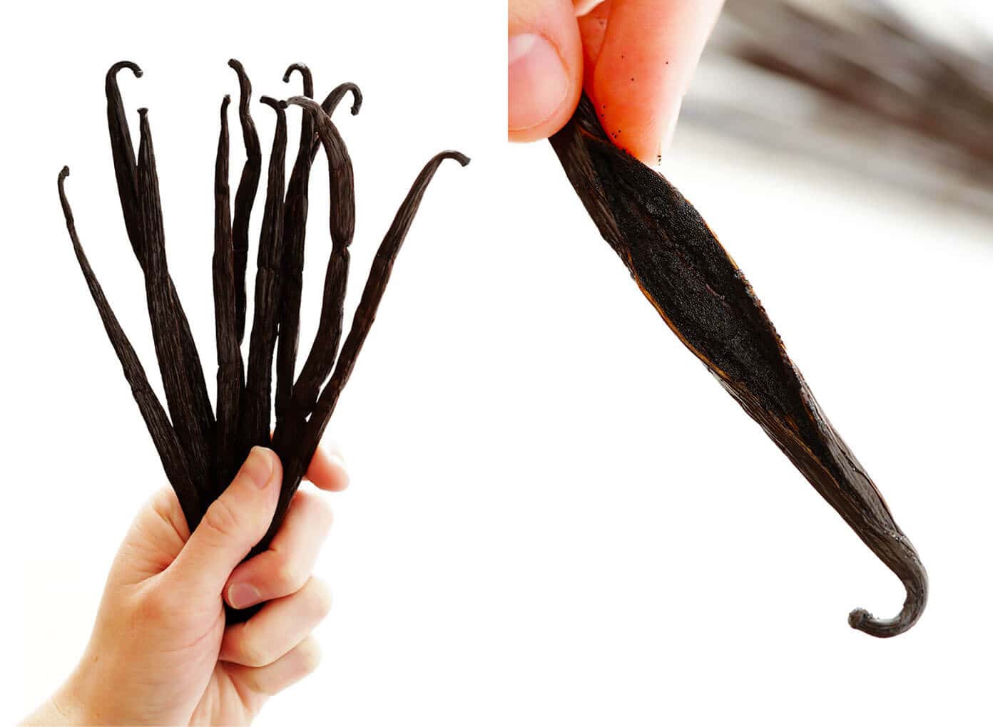 Homemade Vanilla Extract is easy to make in 5 minutes with just 2 ingredients, and can cost significantly less than the store-bought version. Perfect for bakers and DIY gifts! | gimmesomeoven.com #vanilla #extract #homemade #diy #gifts #glutenfree #vegan #baking Type B Vanilla Beans for Homemade Vanilla Extract