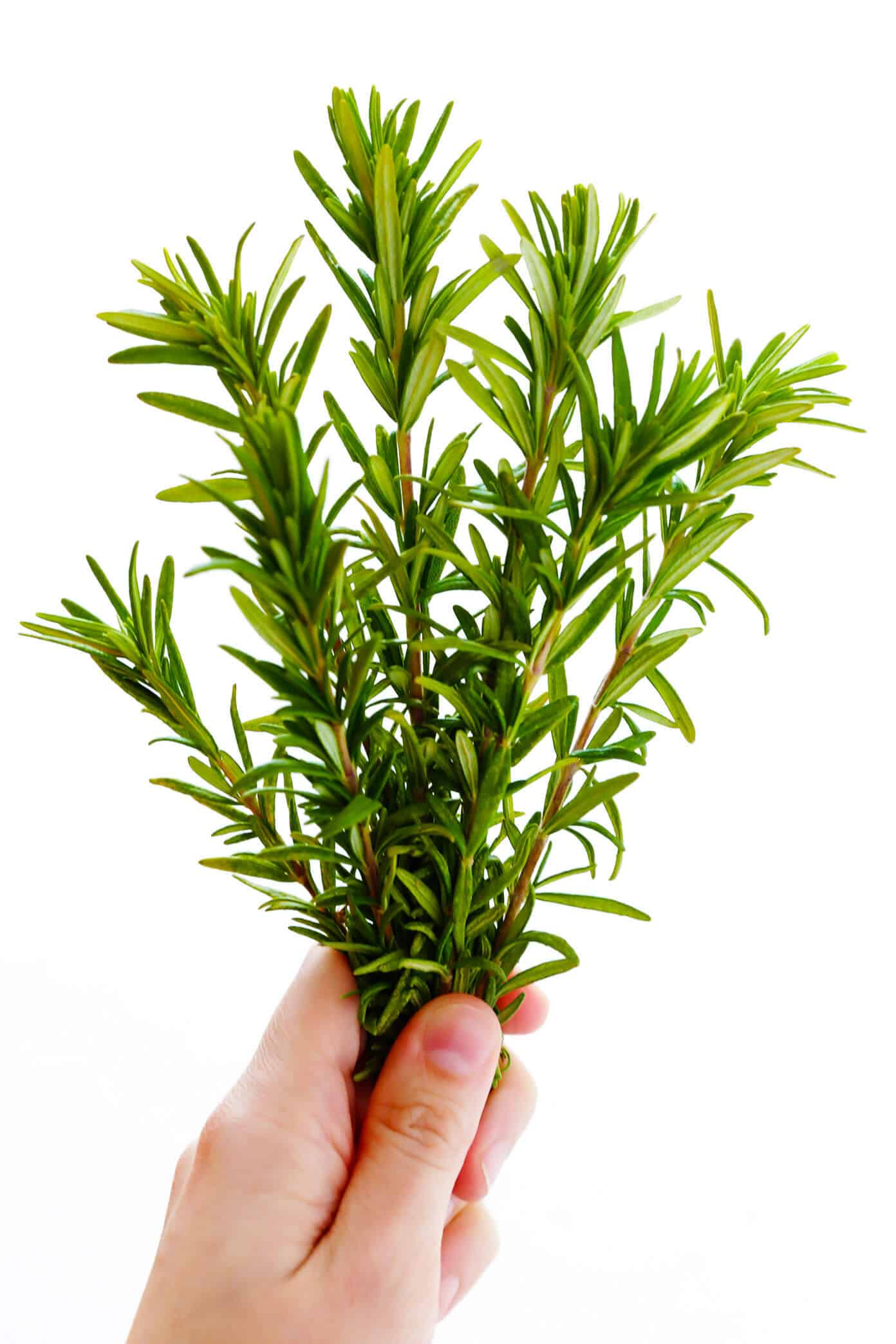 This delicious Rosemary Focaccia Bread recipe is easy to make, and topped with fresh rosemary, olive oil and flaky sea salt. Easy to make as a side for dinner, and it also freezes well! | gimmesomeoven.com #focaccia #bread #italian #side #vegetarian #baking Fresh Rosemary for Focaccia Bread