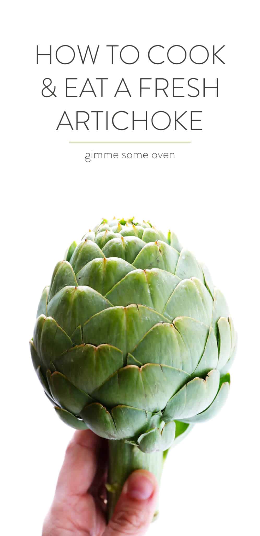 A step-by-step video tutorial and recipe for how to cook (steam) and eat a fresh artichoke! | gimmesomeoven.com #artichokes #spring #vegetable #howto #steamed How To Cook and Eat A Fresh Artichoke