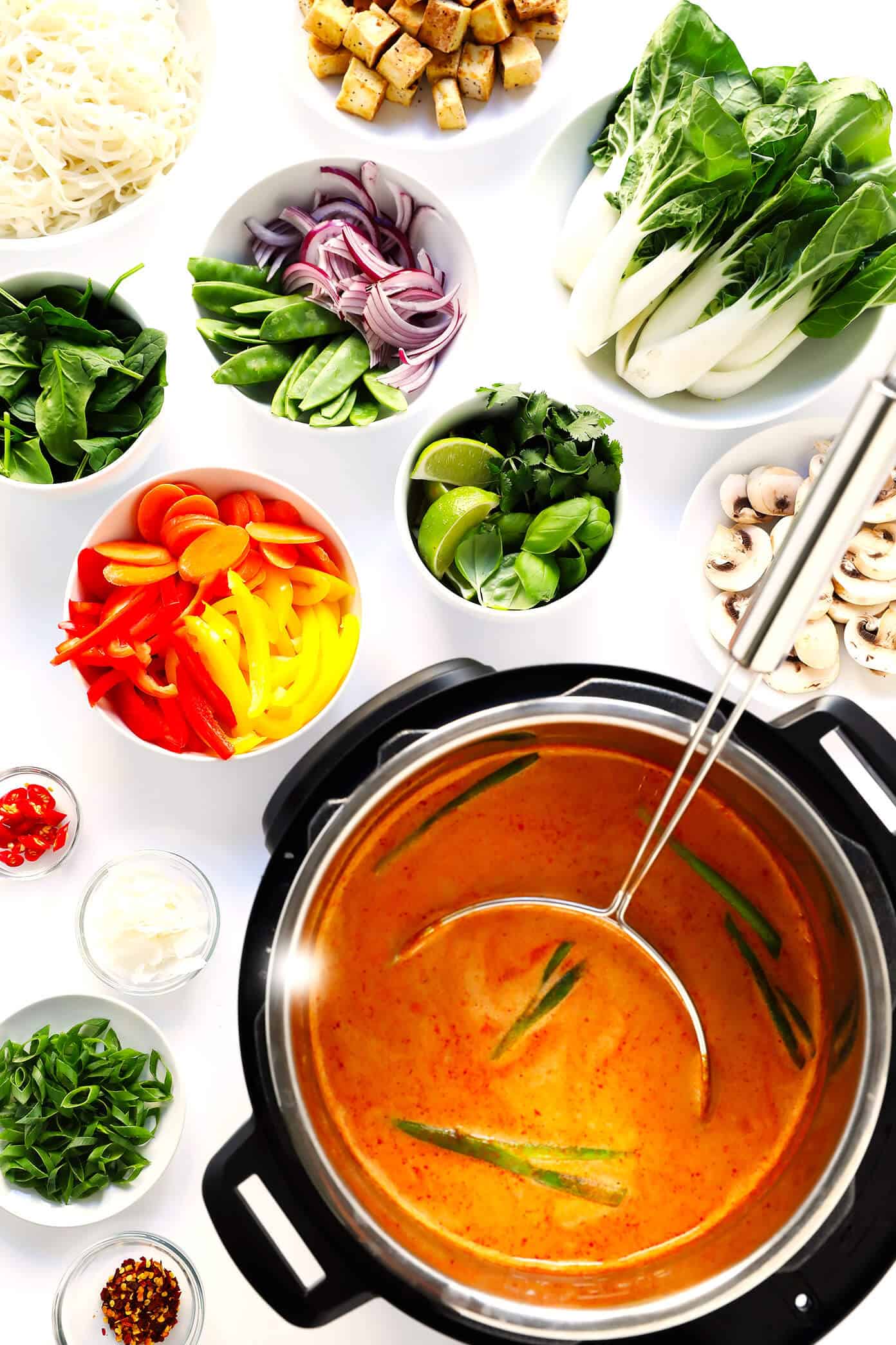 This Thai Curry Hot Pot recipe is so easy to make...and so delicious! It's naturally vegetarian, vegan and gluten-free (although you can add chicken, pork, shrimp or beef, if you'd like). It's made with tons of vegetables and a rich coconut curry broth. And it's so fun for dinner parties! | Gimme Some Oven #instantpot #coconutcurry #souprecipe #hotpot Thai Curry Hot Pot in Instant Pot