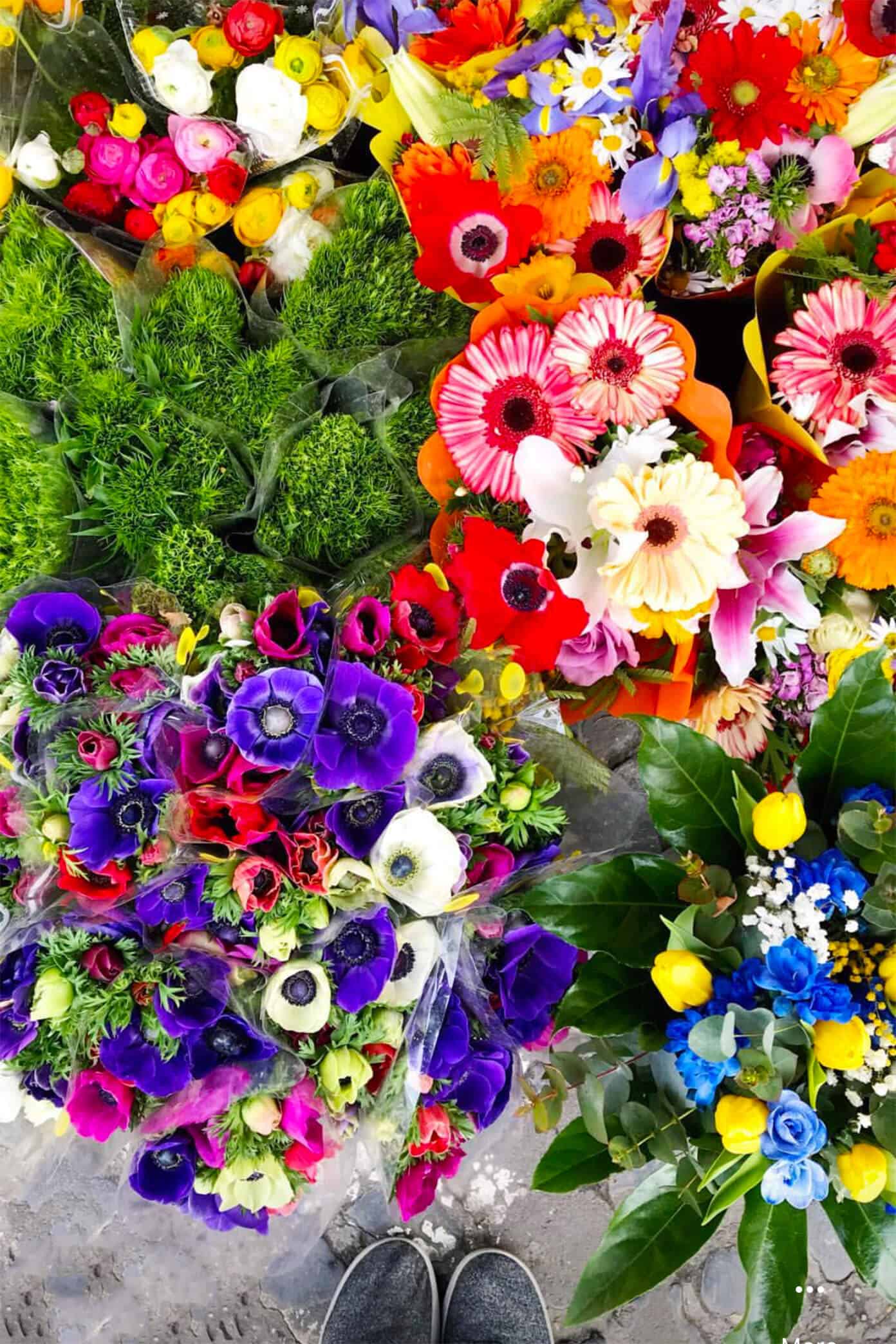 Our Weekend In Rome and Naples -- lots of travel recommendations on the best restaurants and what to eat, things to do, and where to stay in Roma. | Gimme Some Oven #rome #italy #travel #tips #restaurants Flower Market in Rome