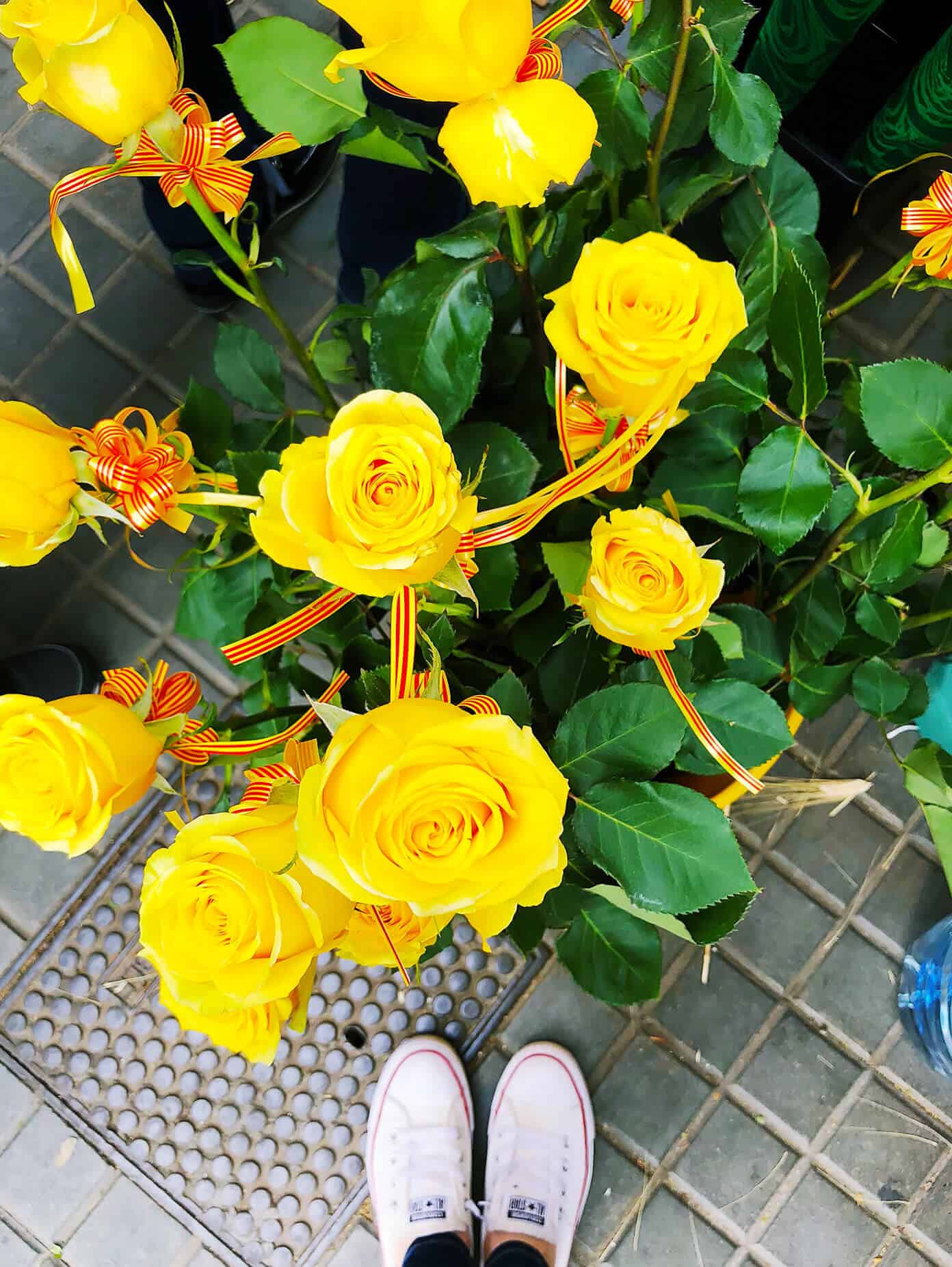 Our First Sant Jordi Day in Barcelona! | Gimme Some Oven Sant Jordi Roses In Barcelona