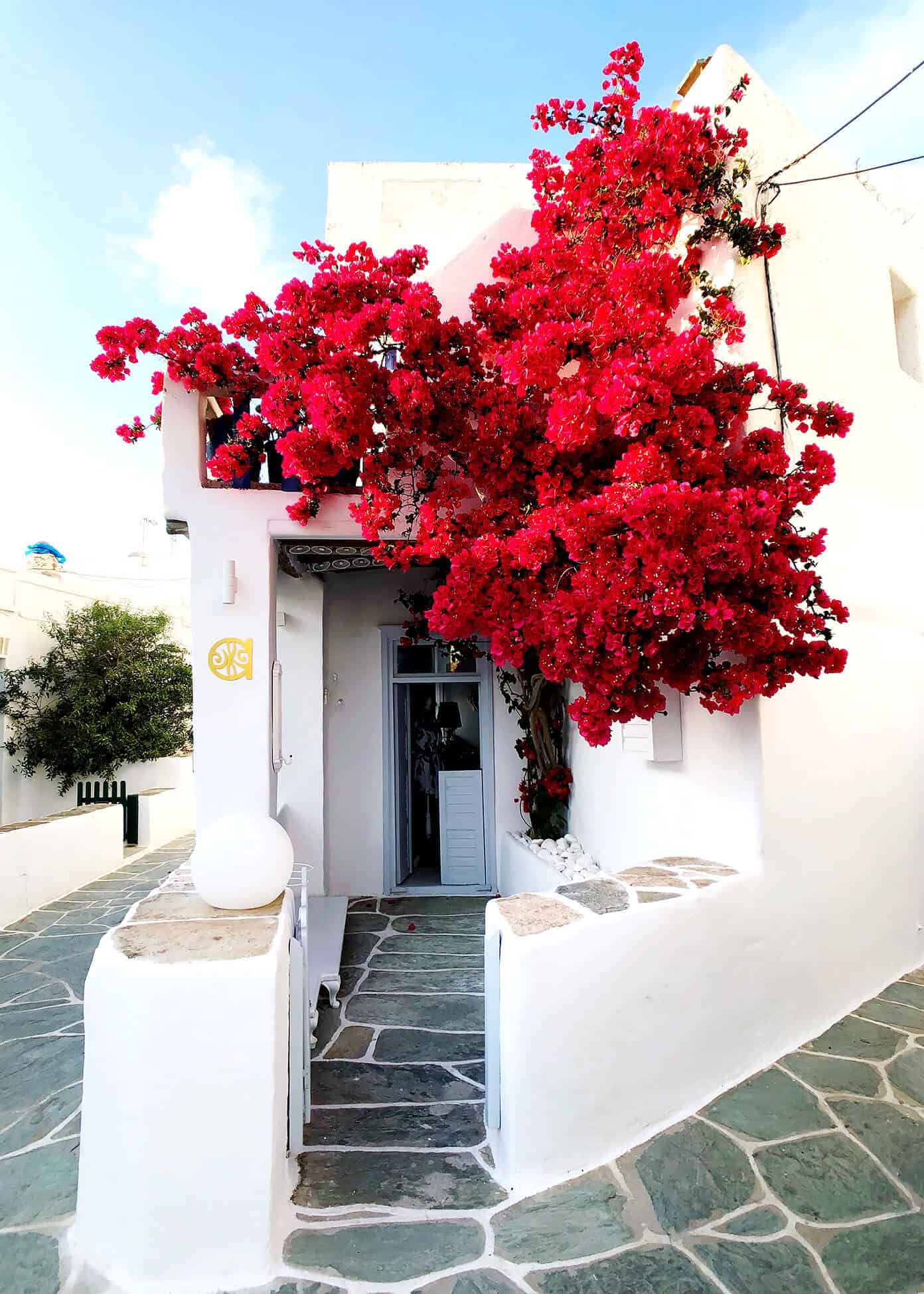 The Gimme Some Oven travel guide for restaurants to eat, hotels to stay and places to visit in Santorini, Greece. | Gimme Some Oven #santorini #greece #travel #traveltips #europe #vacation #islands #hotel #restaurant Beautiful Folegandros, Greece