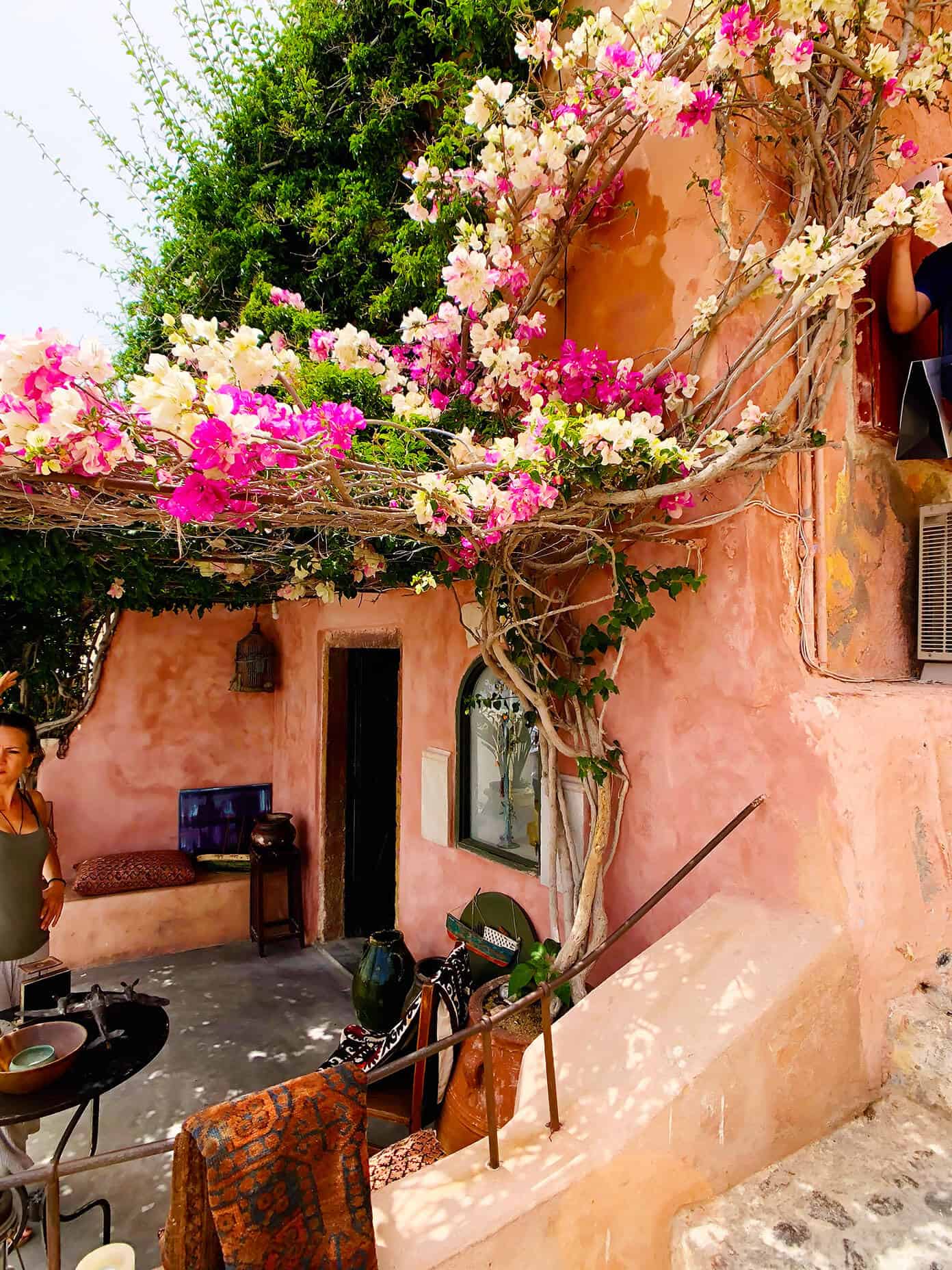 The Gimme Some Oven travel guide for restaurants to eat, hotels to stay and places to visit in Santorini, Greece. | Gimme Some Oven #santorini #greece #travel #traveltips #europe #vacation #islands #hotel #restaurant Flowers in Oia Santorini Greece