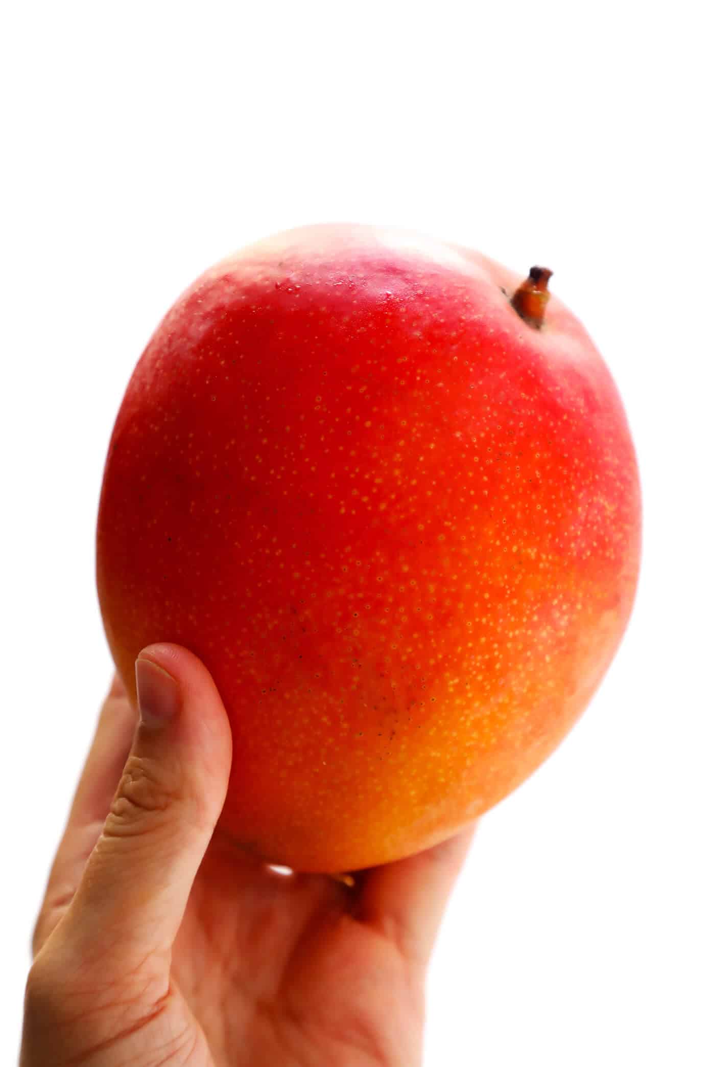 Learn how to cut a mango with this quick 1-minute video tutorial. Plus, tips on how to select and store a ripe mango, as well as my favorite fresh mango recipes. | Gimme Some Oven #mango #tutorial #howtocut #fruit #healthy #glutenfree #dessert How To Cut A Mango