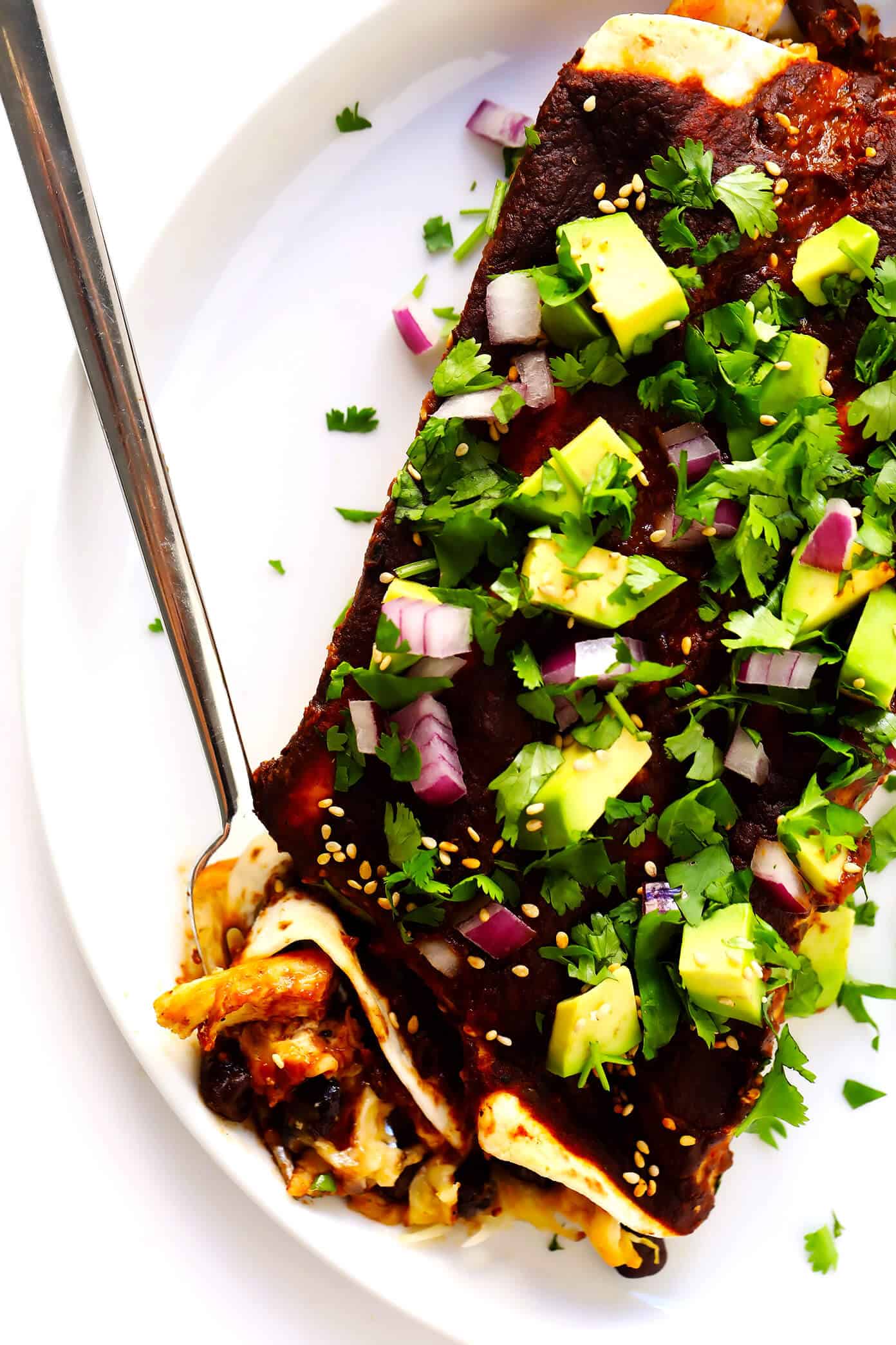 LOVE these mole enchiladas! They are made with the most delicious 20-minute homemade mole sauce, loaded up with your choice of fillings (chicken, carnitas, roasted veggies, beans, cheese, etc.), and garnished with lots of fresh toppings (avocado, cilantro, etc.). A delicious Mexican dinner that's sure to be a hit! | Gimme Some Oven #mole #enchiladas #mexican #dinner #vegetarian #glutenfree #chicken #avocado #mealprep #freezermeals Avocado Mole Enchiladas | Filled with chicken, pork, or your choice of vegetarian fillings