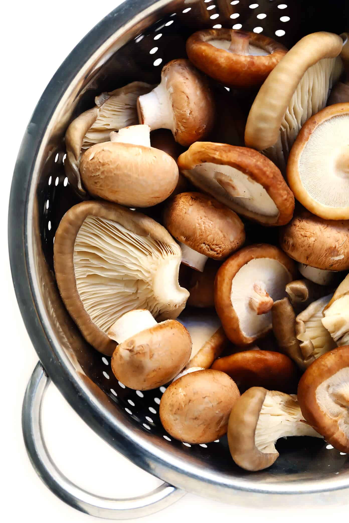 This Mushroom Lovers Pasta recipe is tossed with a heavenly rosemary balsamic butter sauce, lots of Parmesan cheese, pine nuts, and whatever kinds of mushrooms you love. Total (vegetarian!) comfort food. | gimmesomeoven.com #pasta #mushroom #vegetarian #dinner #valentines #cheese #sauce #italian Baby Bella, Shiitake and Oyster Mushrooms
