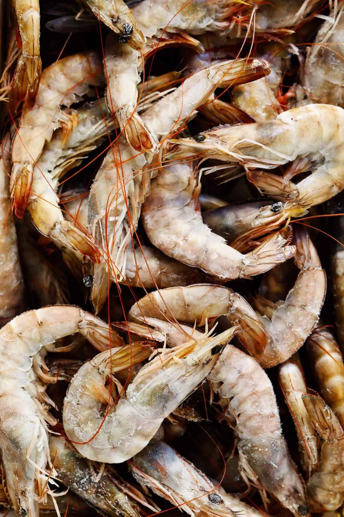 Learn how to make authentic gambas al ajillo (Spanish garlic shrimp) with this easy recipe! It comes together in just 10 minutes, and can be served as an appetizer or tapas recipe, or as a main dish. | gimmesomeoven.com #shrimp #spanish #spain #tapas #glutenfree #barcelona Spanish Gambas (Shrimp)