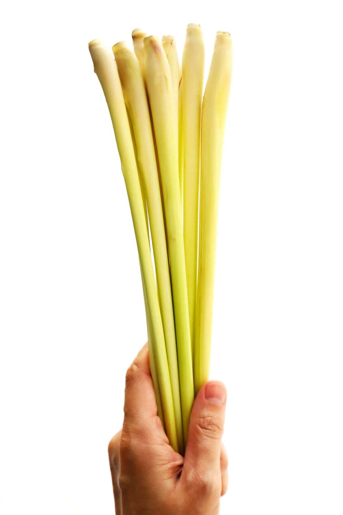 This Vietnamese Lemongrass Chicken recipe is made with the best citrusy lemongrass marinade, and can be grilled, baked or sautéed. Serve it with rice, noodle bowls (bun), salads or whatever sounds good! | gimmesomeoven.com #chicken #lemongrass #vietnamese #kabobs #grilled #healthy #glutenfree Fresh Lemongrass