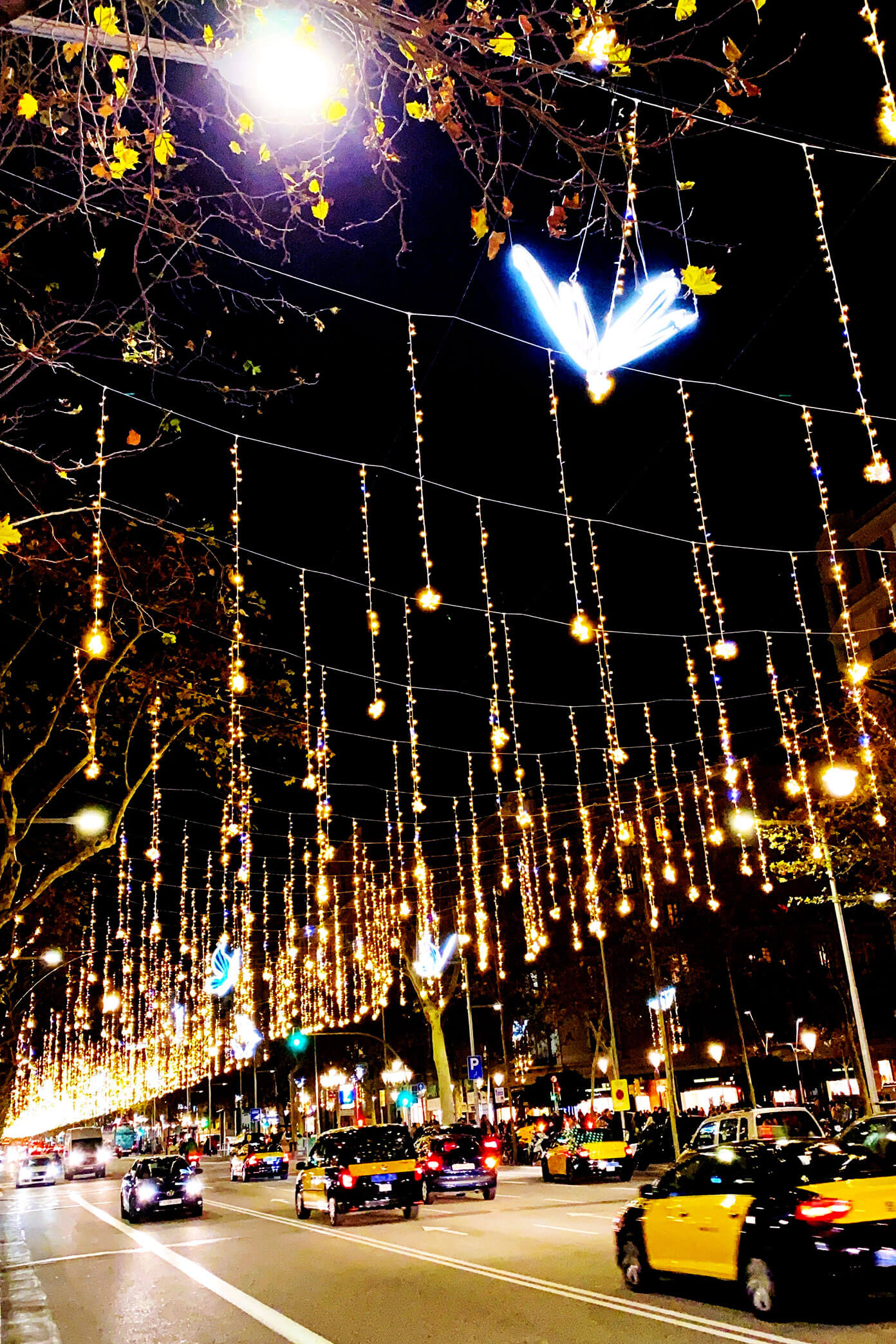 Our Life In Barcelona | January 2020 | gimmesomeoven.com #expats #spain #barcelona Barcelona Christmas Lights
