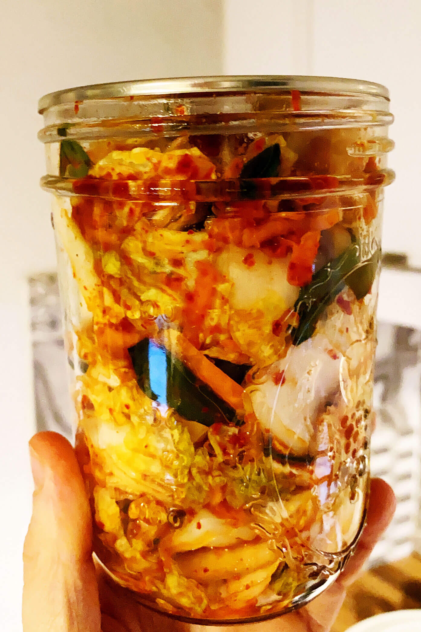 Our Life In Barcelona | January 2020 | gimmesomeoven.com #expats #spain #barcelona Homemade Kimchi