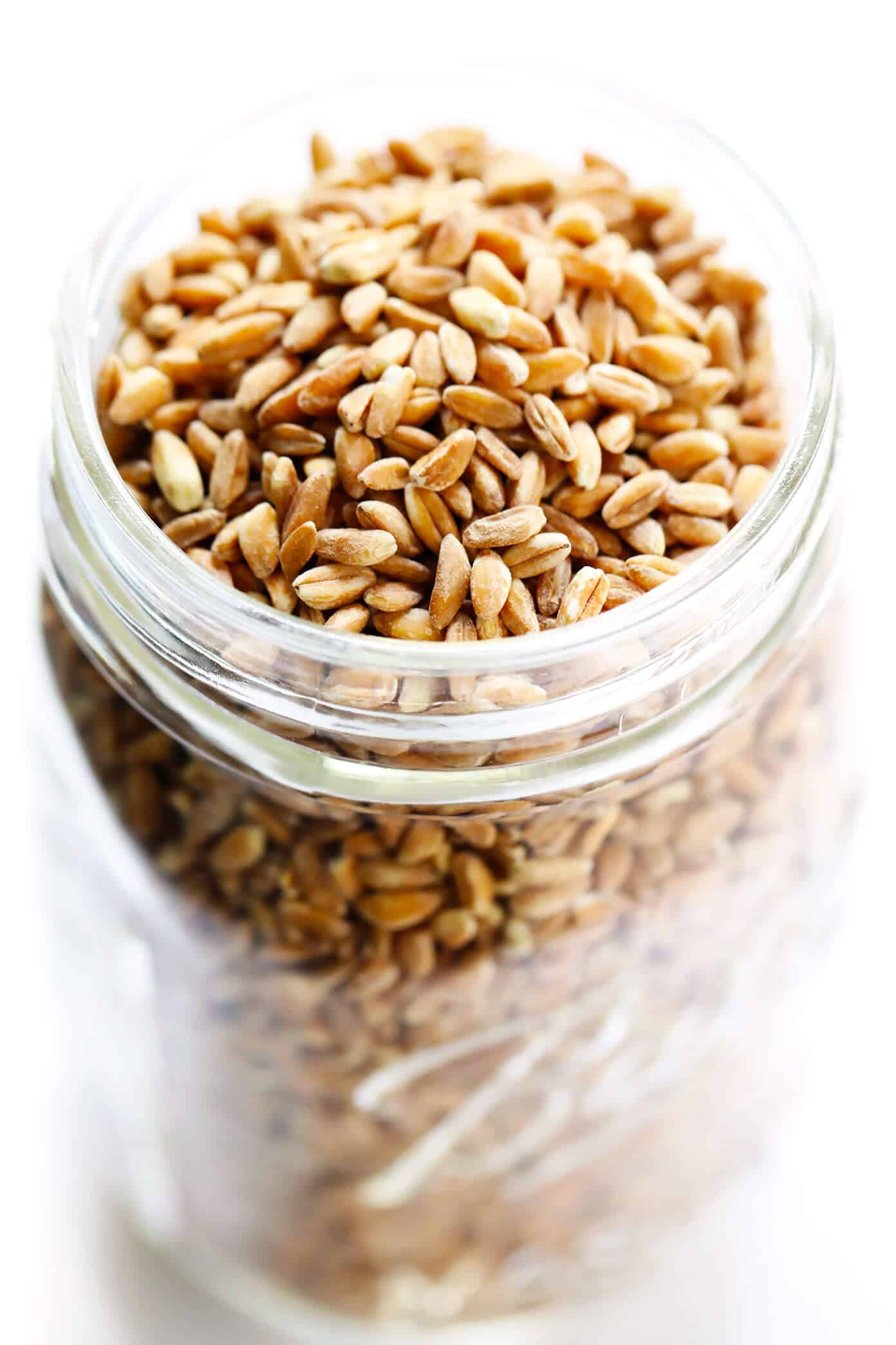 How to cook farro on the stovetop or in the Instant Pot! Plus tips for how to toast and season farro, how to freeze farro, and a collection of my favorite easy farro recipes. | gimmesomeoven.com #farro #grain #healthy #instantpot #howto #dinner #mealprep #vegetarian #vegan Pearled Farro Recipe