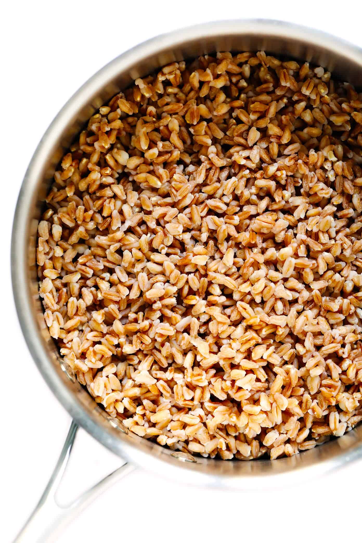 How to cook farro on the stovetop or in the Instant Pot! Plus tips for how to toast and season farro, how to freeze farro, and a collection of my favorite easy farro recipes. | gimmesomeoven.com #farro #grain #healthy #instantpot #howto #dinner #mealprep #vegetarian #vegan How To Cook Farro