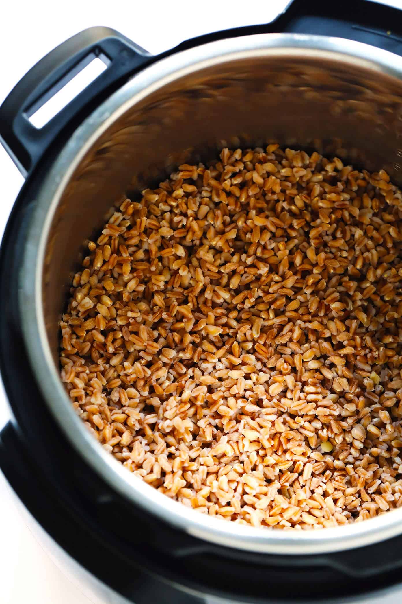 How to cook farro on the stovetop or in the Instant Pot! Plus tips for how to toast and season farro, how to freeze farro, and a collection of my favorite easy farro recipes. | gimmesomeoven.com #farro #grain #healthy #instantpot #howto #dinner #mealprep #vegetarian #vegan Instant Pot Farro