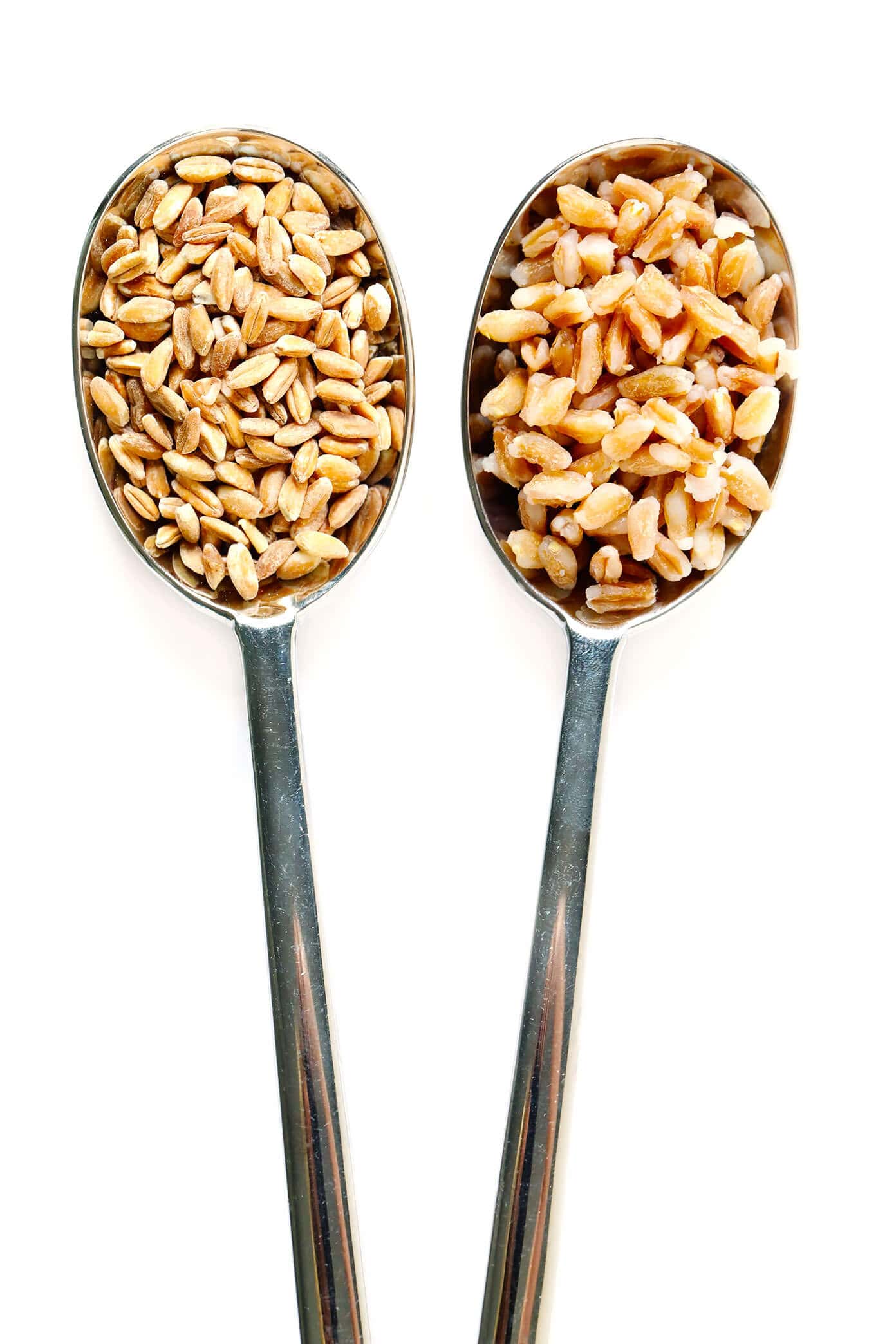 How to cook farro on the stovetop or in the Instant Pot! Plus tips for how to toast and season farro, how to freeze farro, and a collection of my favorite easy farro recipes. | gimmesomeoven.com #farro #grain #healthy #instantpot #howto #dinner #mealprep #vegetarian #vegan Cooked and Uncooked Farro