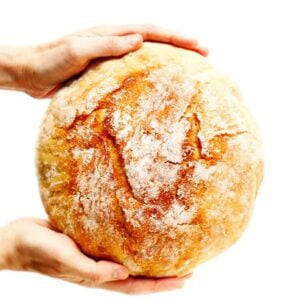 Homemade No Knead Bread Recipe