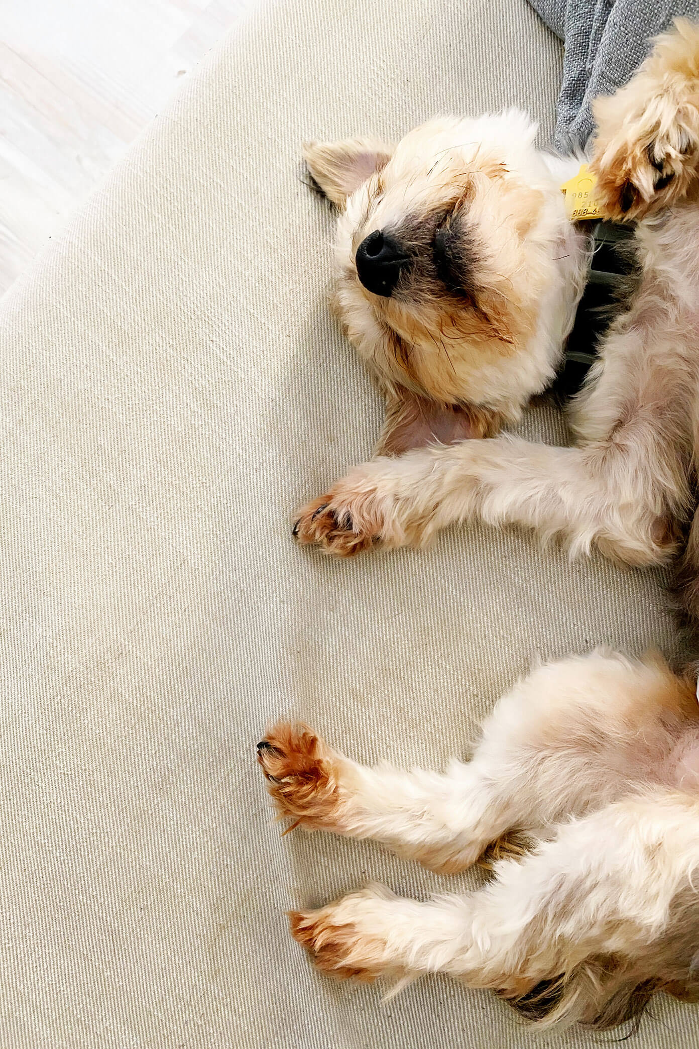 An update on life currently here in Barcelona, Spain. | gimmesomeoven.com Henry taking a nap
