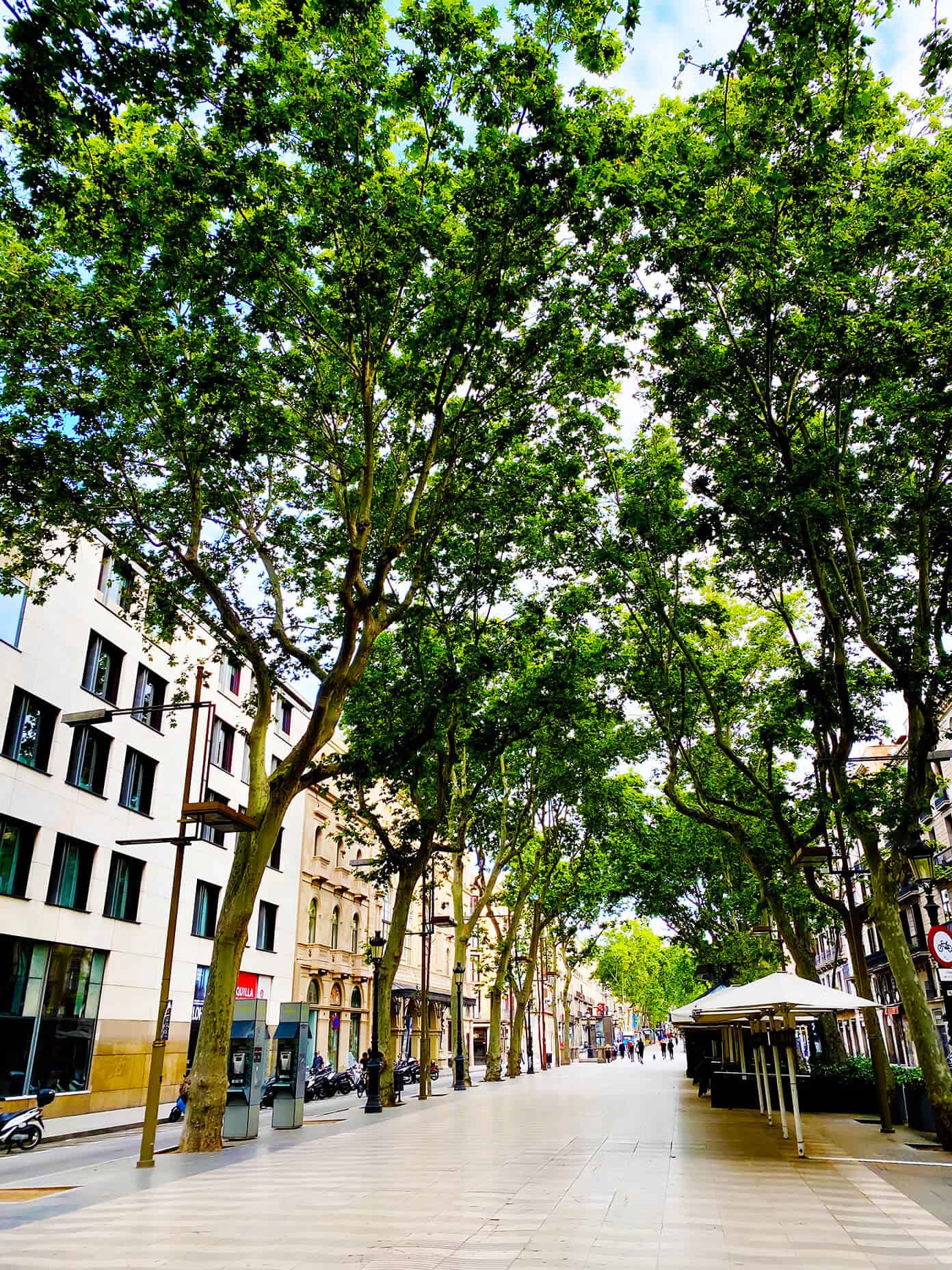 An update on life currently here in Barcelona, Spain. | gimmesomeoven.com La Rambla in Barcelona