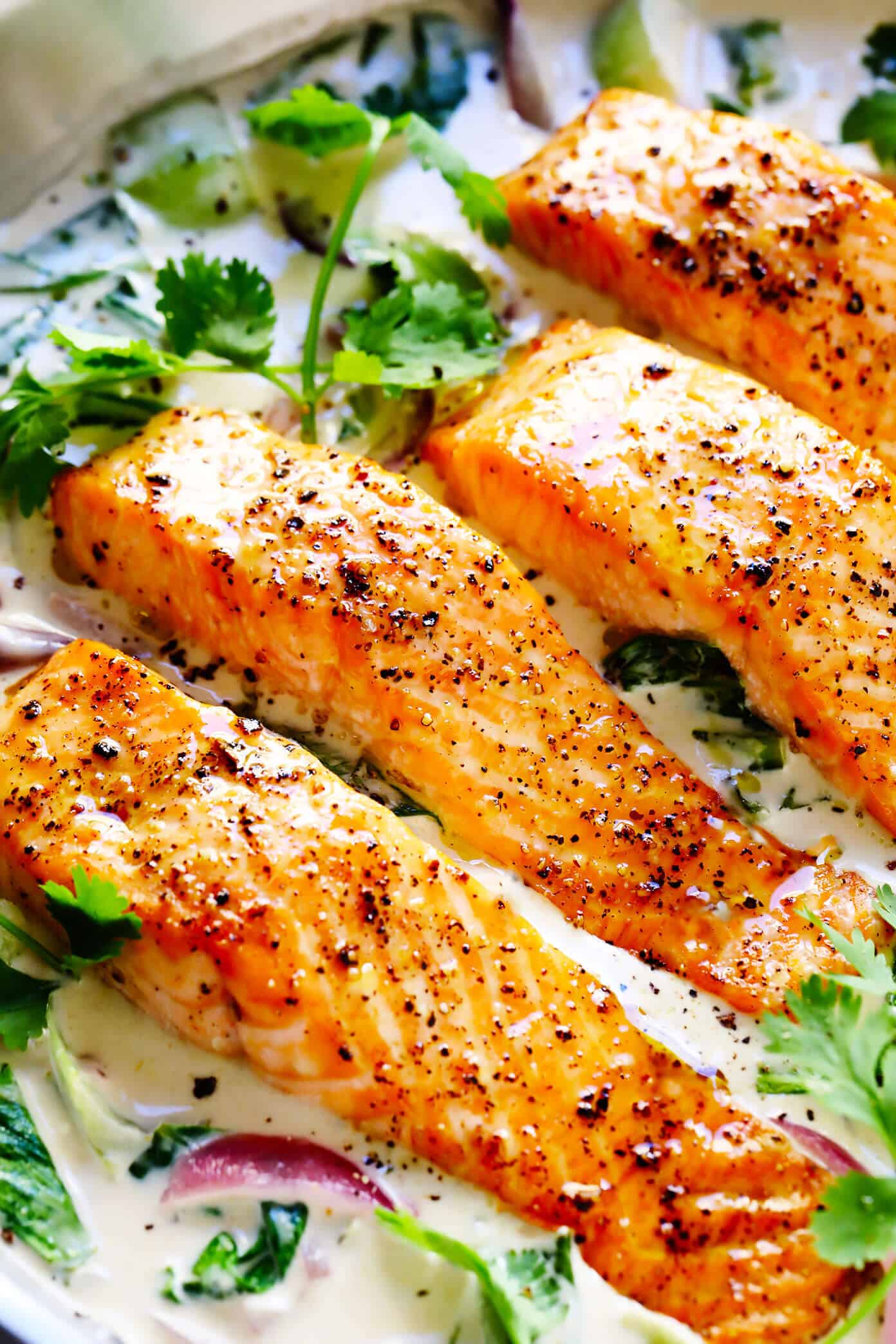 This quick and easy Green Curry Salmon recipe is made with tender salmon, fresh baby bok choy, and the most delicious Thai-inspired lime coconut green curry sauce. Ready to go in less than 30 minutes! | gimmesomeoven.com #salmon #curry #sauce #coconut #glutenfree #dinner #healthy #glutenfree Baked Salmon with Green Curry Sauce Closeup