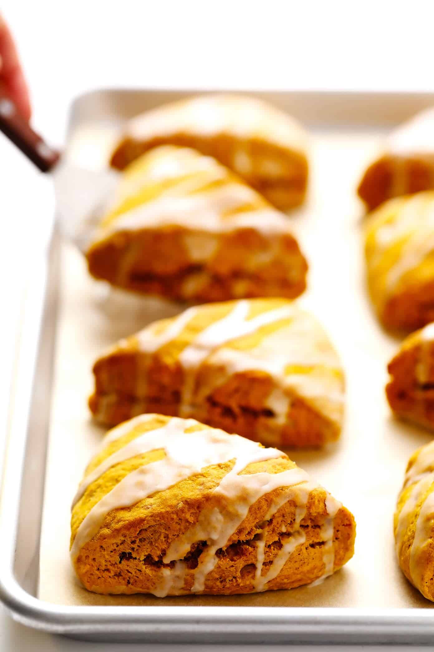This pumpkin scones recipe is quick and easy to make, drizzled with a light vanilla glaze, and full of the best cozy pumpkin flavors. The perfect fall treat for breakfast, brunch, snack or dessert. | gimmesomeoven.com #pumpkin #scone #breakfast #brunch #dessert #treat #vanilla #glaze #icing #easy Pumpkin Scones with Vanilla Glaze on Baking Sheet